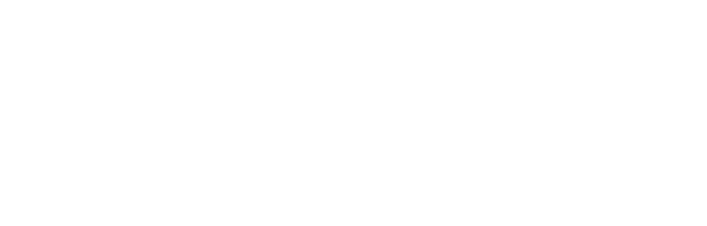 Walther Elctric