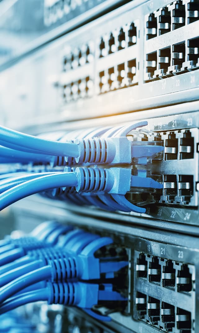 Close-up of Ethernet cables connected to a high-performance network switch, providing reliable wired connectivity for enterprise networks, servers and data centre infrastructure.